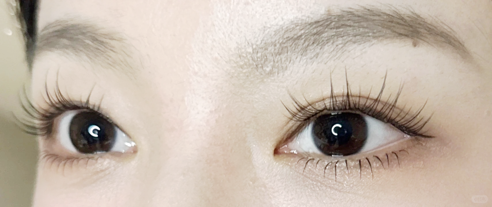 半夜童话流星雨假睫毛深度测评:三簇式设计能否成为新手救星?